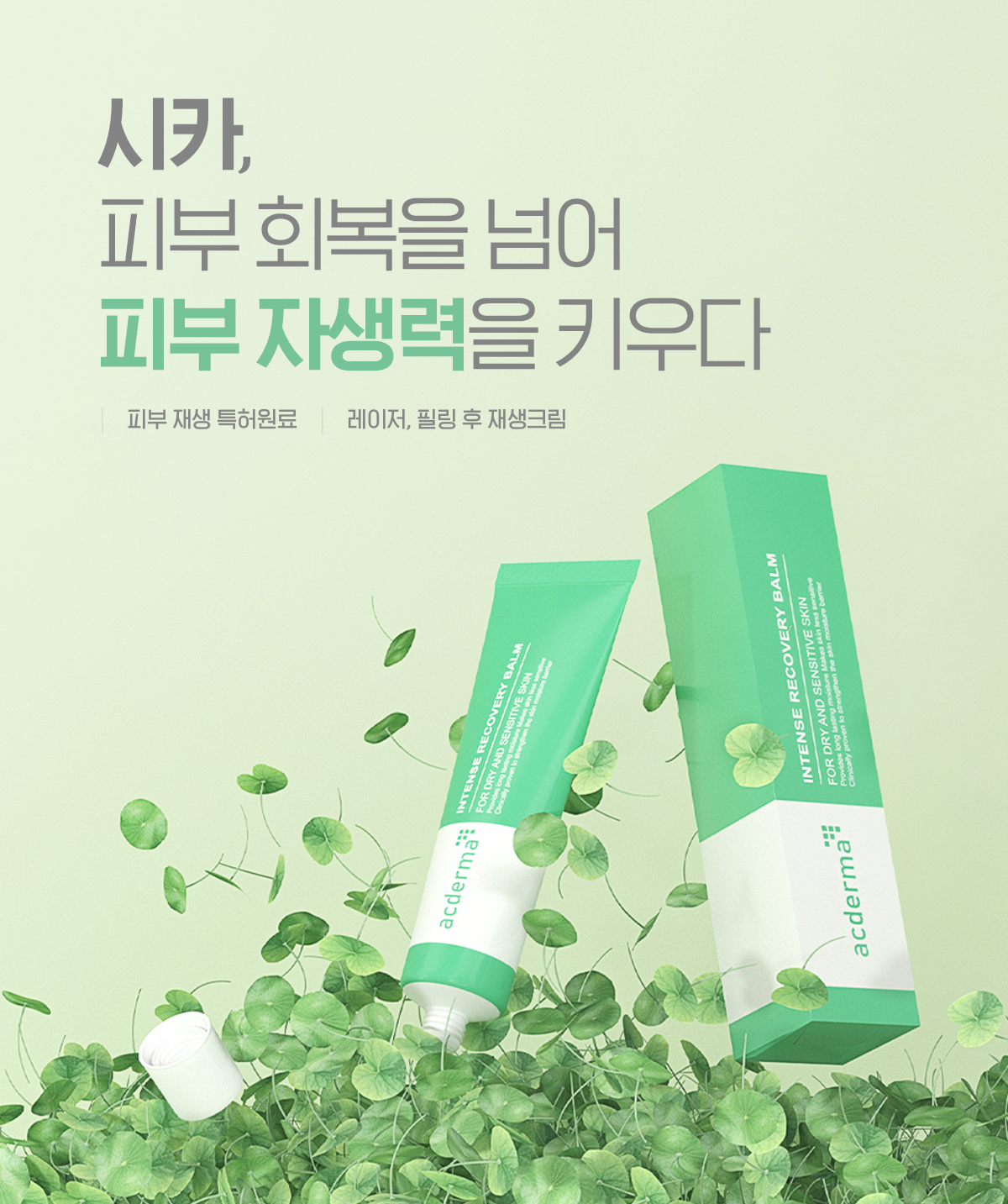 메인배너